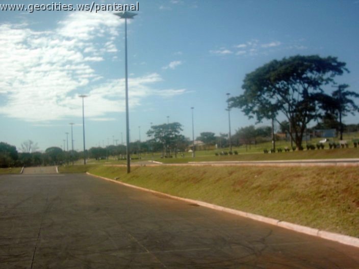 3363_geocities_ws_pantanal.jpg
