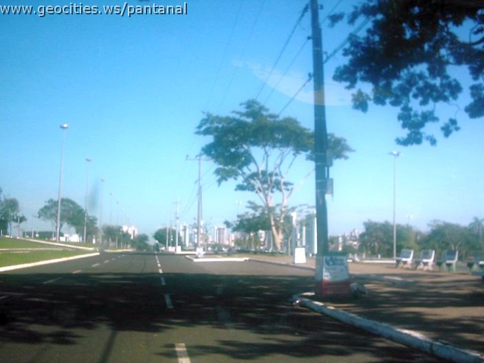 3366_geocities_ws_pantanal.jpg