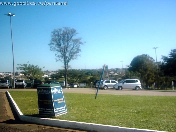 3367_geocities_ws_pantanal.jpg