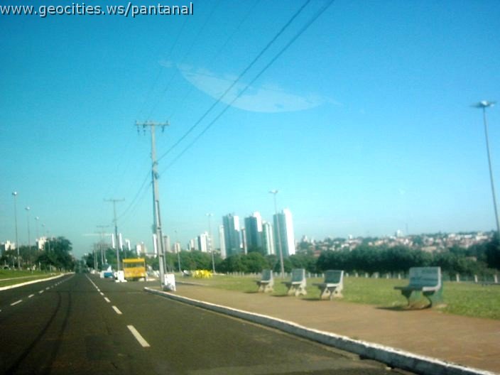 3368_geocities_ws_pantanal.jpg