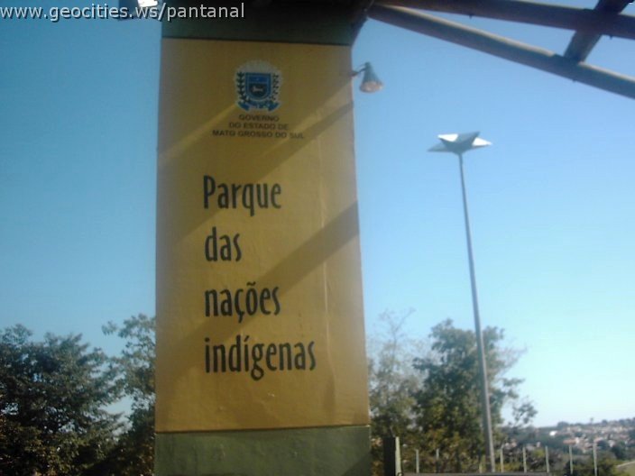 3370_geocities_ws_pantanal.jpg