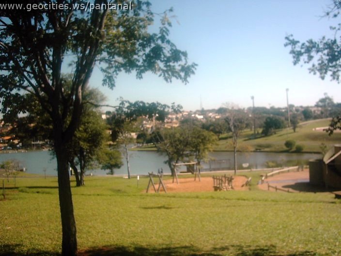 3374_geocities_ws_pantanal.jpg