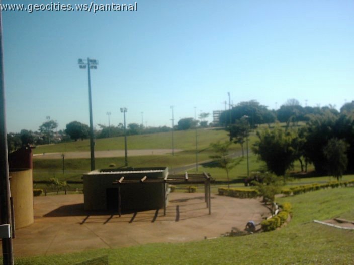 3376_geocities_ws_pantanal.jpg