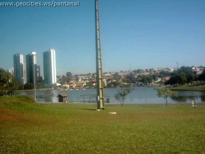 3377_geocities_ws_pantanal.jpg