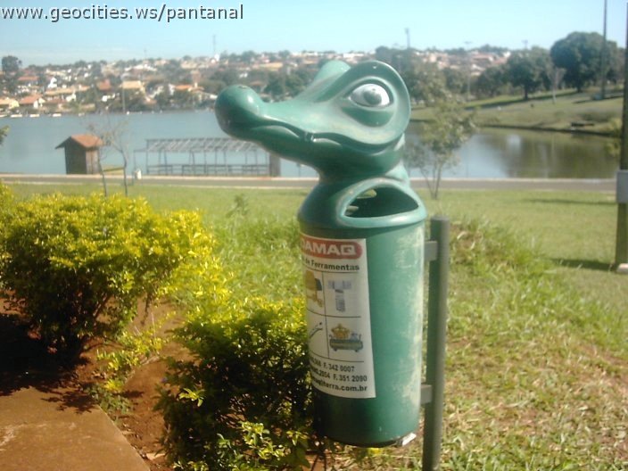 3380_geocities_ws_pantanal.jpg