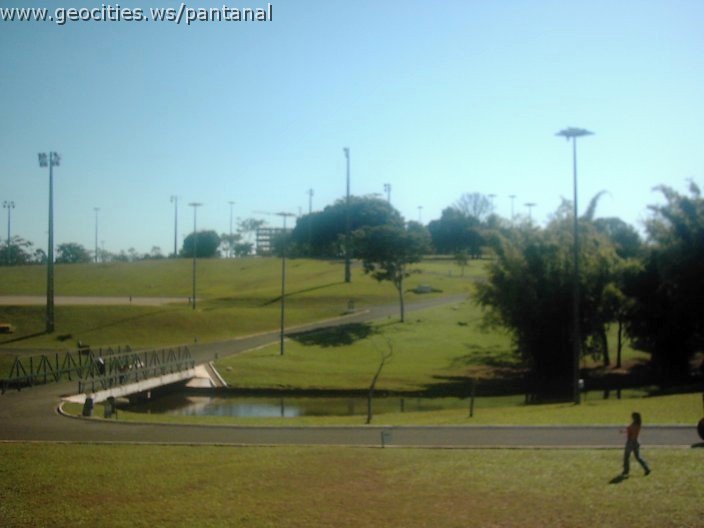 3383_geocities_ws_pantanal.jpg