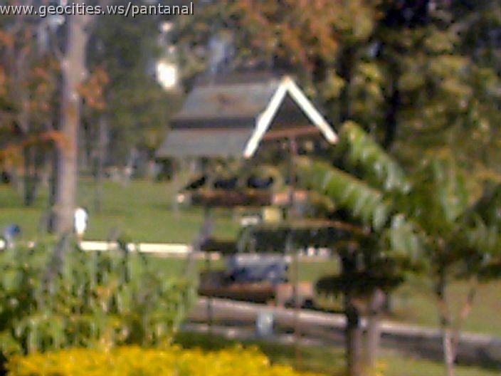 3385_geocities_ws_pantanal.jpg