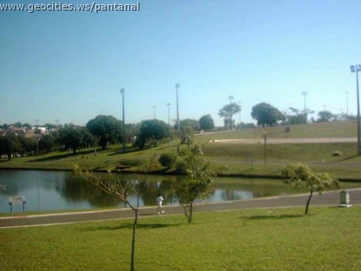 3392_geocities_ws_pantanal.jpg