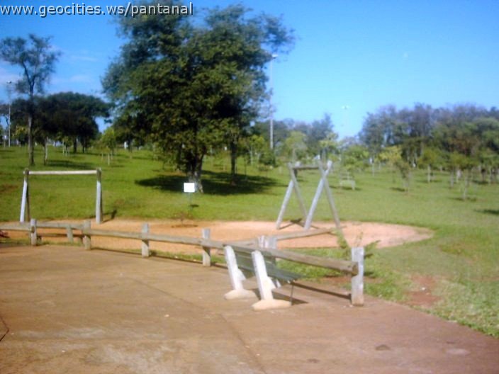 3394_geocities_ws_pantanal.jpg