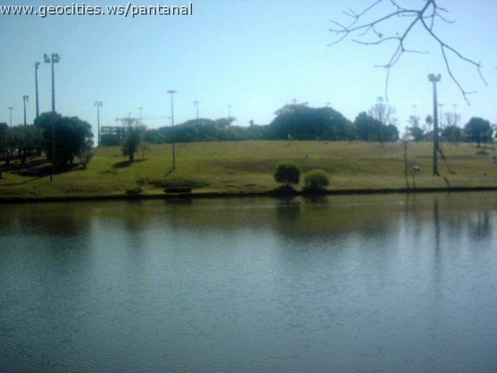 3398_geocities_ws_pantanal.jpg