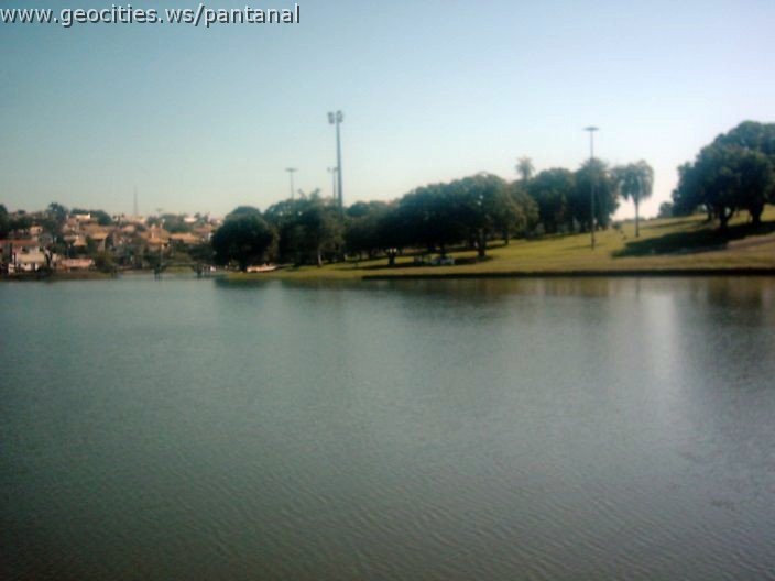 3399_geocities_ws_pantanal.jpg