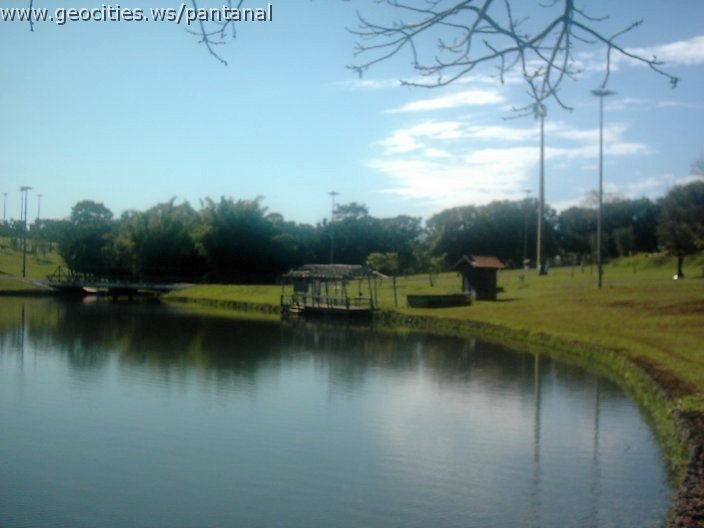 3402_geocities_ws_pantanal.jpg