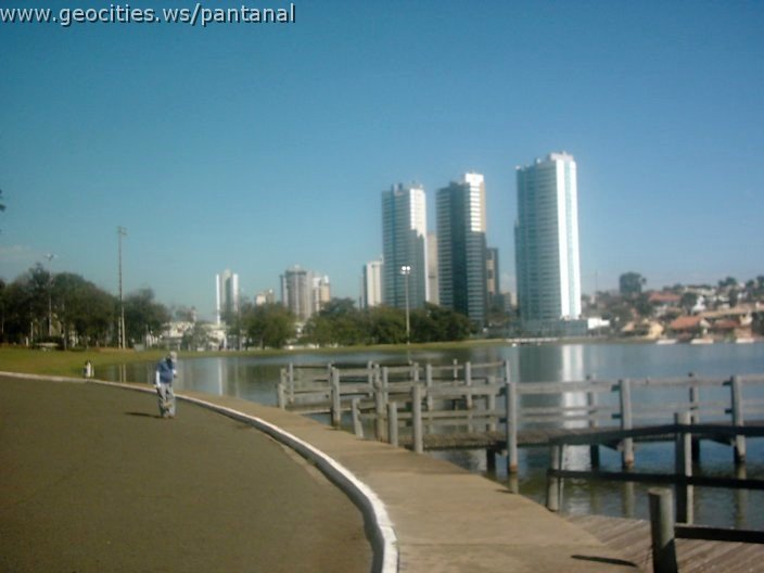 3403_geocities_ws_pantanal.jpg