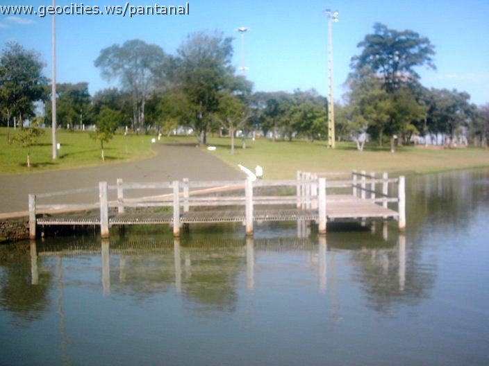 3409_geocities_ws_pantanal.jpg