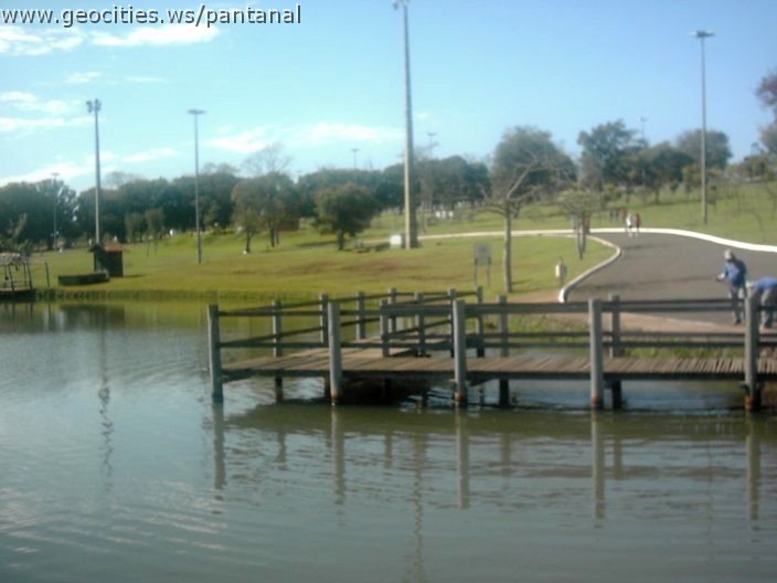 3410_geocities_ws_pantanal.jpg