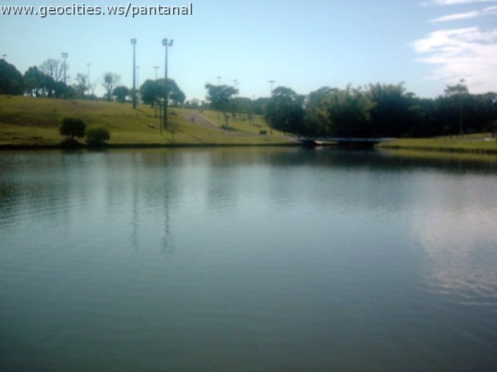 3411_geocities_ws_pantanal.jpg