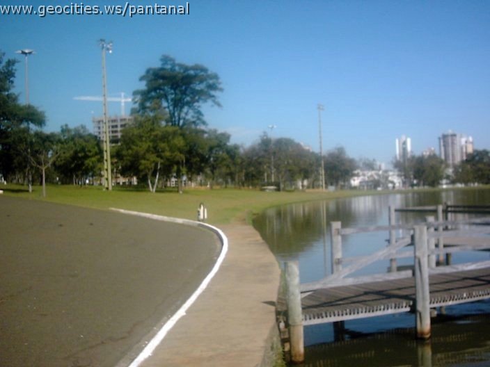 3412_geocities_ws_pantanal.jpg