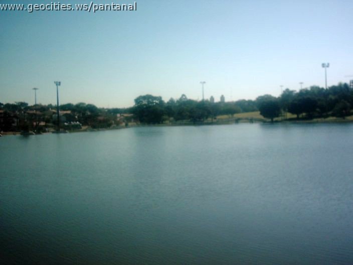 3415_geocities_ws_pantanal.jpg