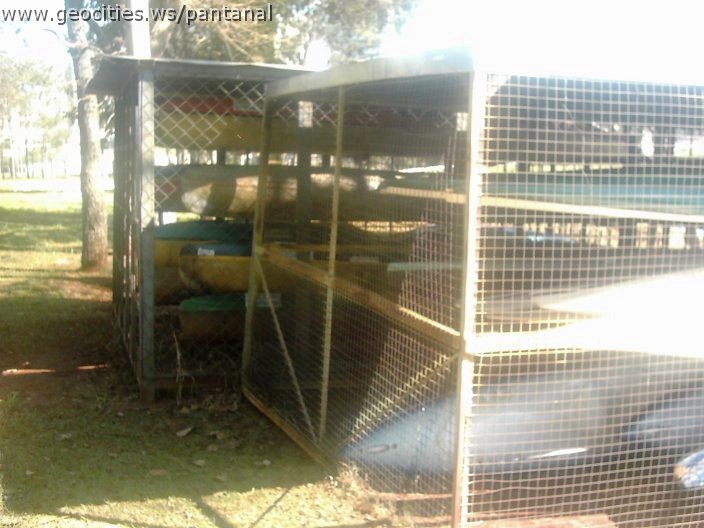 3417_geocities_ws_pantanal.jpg