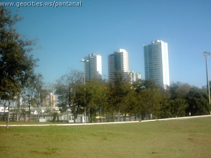 3418_geocities_ws_pantanal.jpg