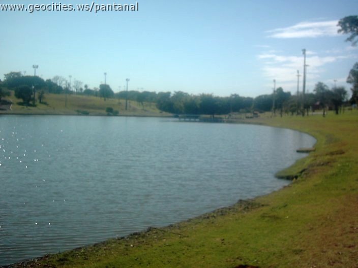3419_geocities_ws_pantanal.jpg