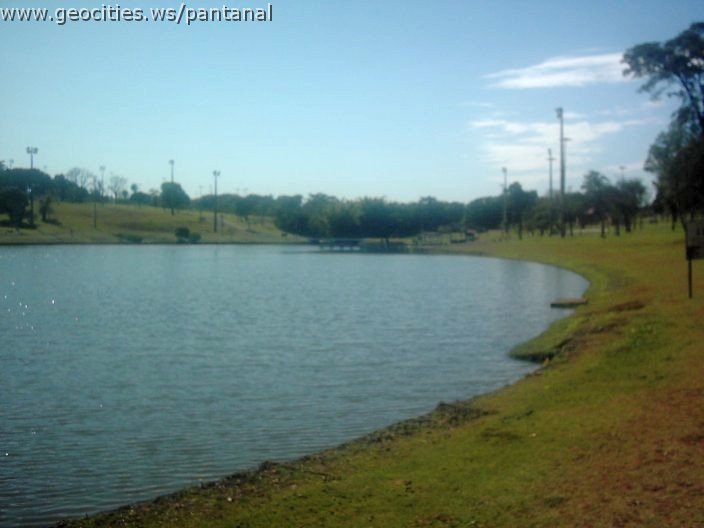 3421_geocities_ws_pantanal.jpg