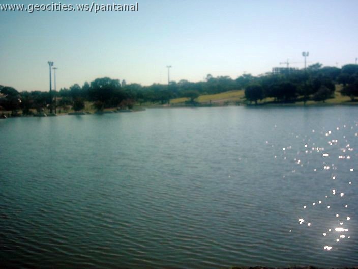 3422_geocities_ws_pantanal.jpg