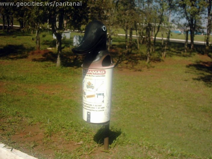 3423_geocities_ws_pantanal.jpg