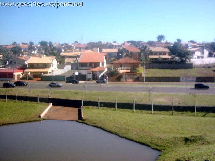 3426_geocities_ws_pantanal.jpg