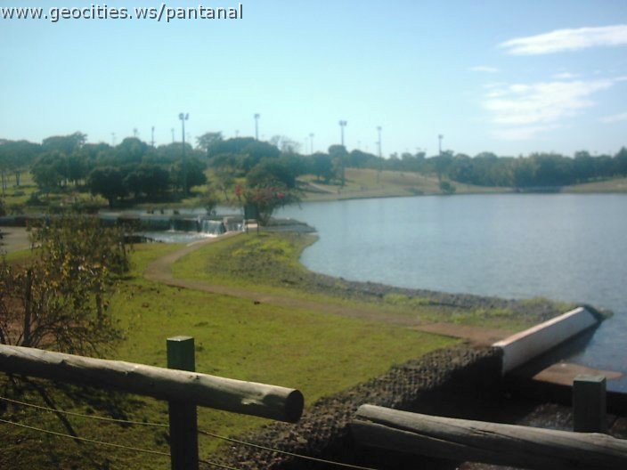 3428_geocities_ws_pantanal.jpg
