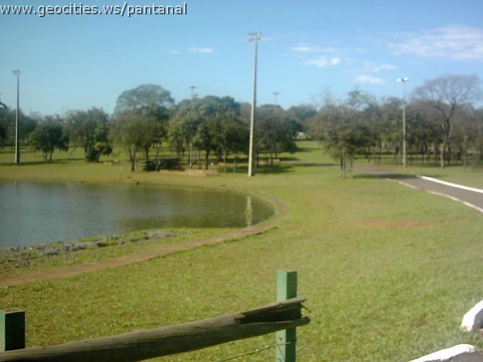 3429_geocities_ws_pantanal.jpg