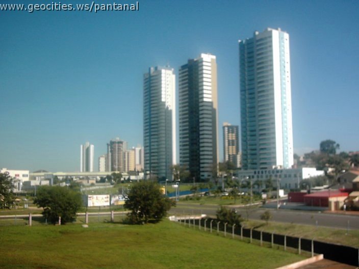 3430_geocities_ws_pantanal.jpg