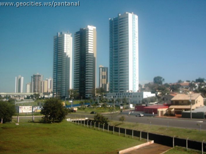 3431_geocities_ws_pantanal.jpg