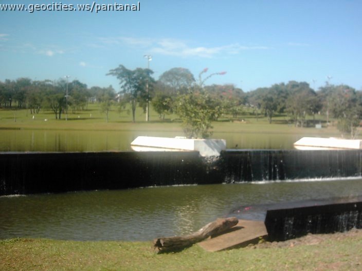 3434_geocities_ws_pantanal.jpg