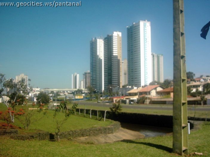 3435_geocities_ws_pantanal.jpg