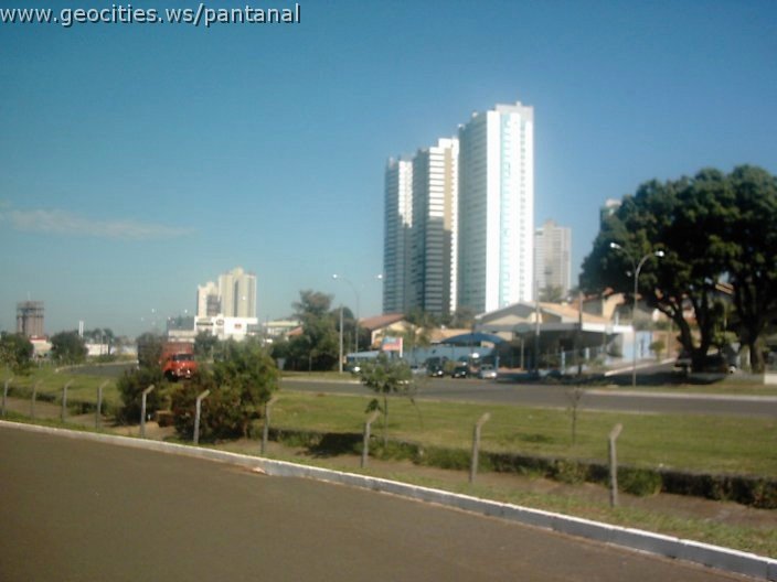3438_geocities_ws_pantanal.jpg