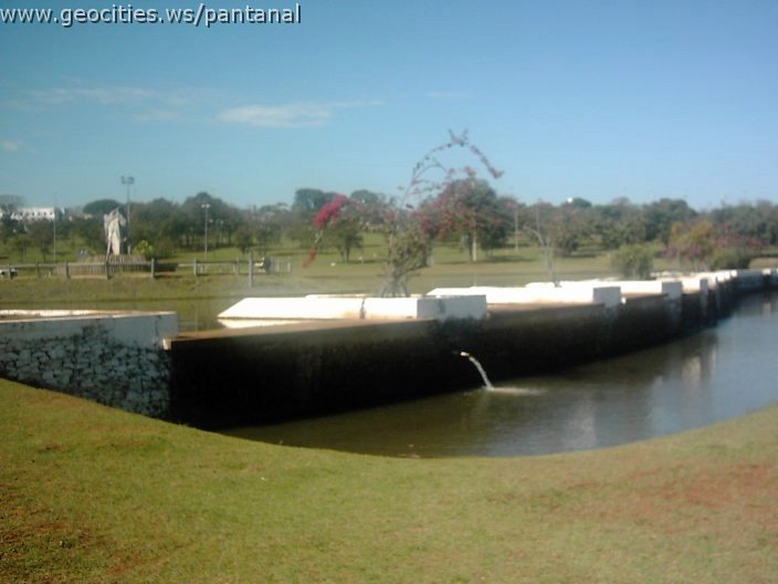 3439_geocities_ws_pantanal.jpg