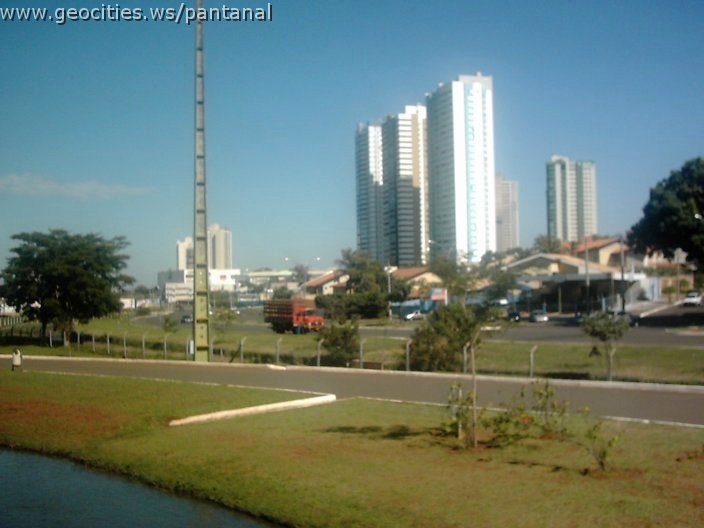 3440_geocities_ws_pantanal.jpg