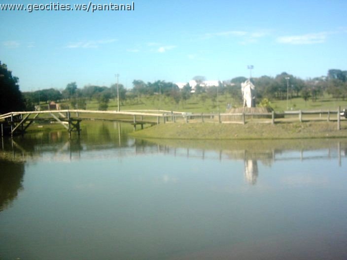 3441_geocities_ws_pantanal.jpg