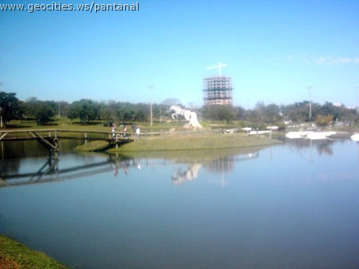 3443_geocities_ws_pantanal.jpg