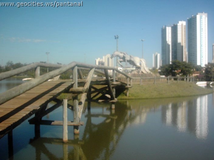 3445_geocities_ws_pantanal.jpg