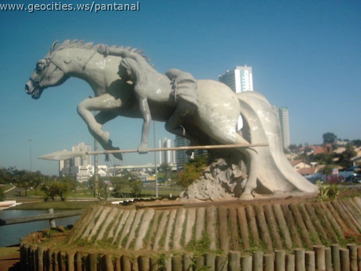 3449_geocities_ws_pantanal.jpg