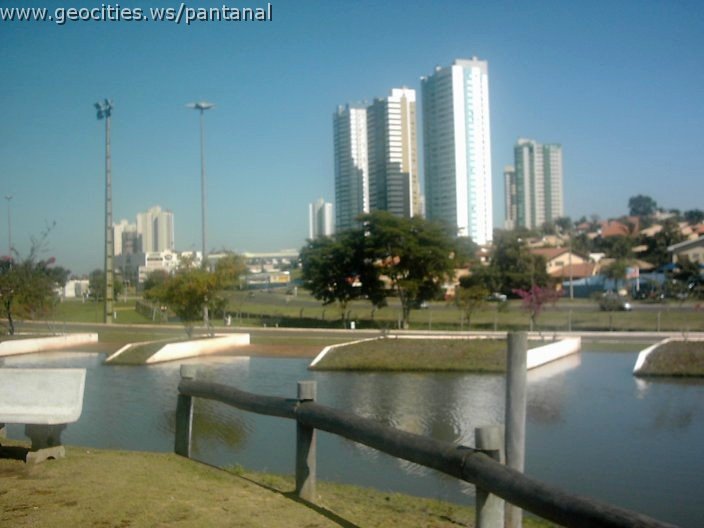 3455_geocities_ws_pantanal.jpg