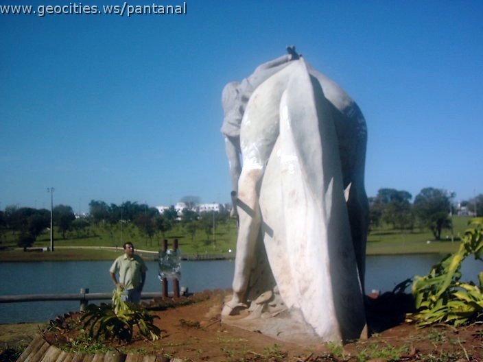 3456_geocities_ws_pantanal.jpg
