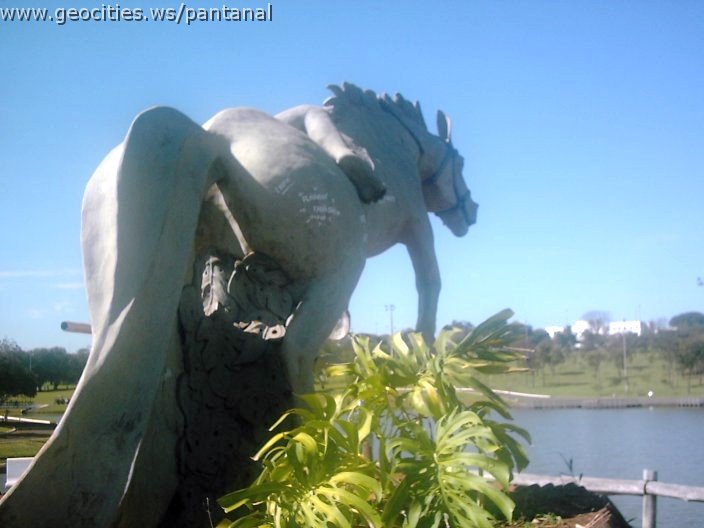 3457_geocities_ws_pantanal.jpg