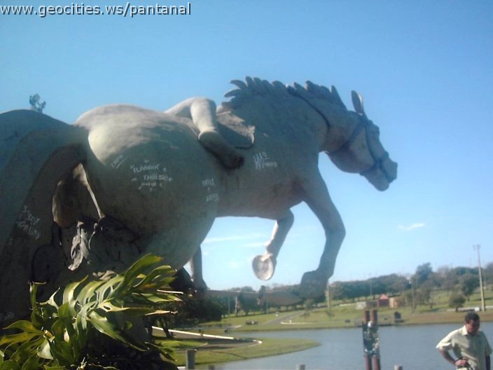 3458_geocities_ws_pantanal.jpg