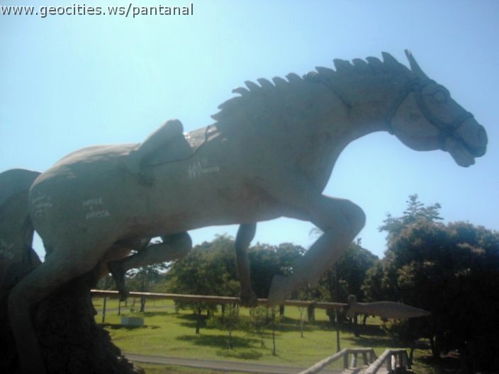 3460_geocities_ws_pantanal.jpg