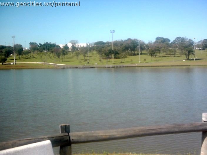 3464_geocities_ws_pantanal.jpg