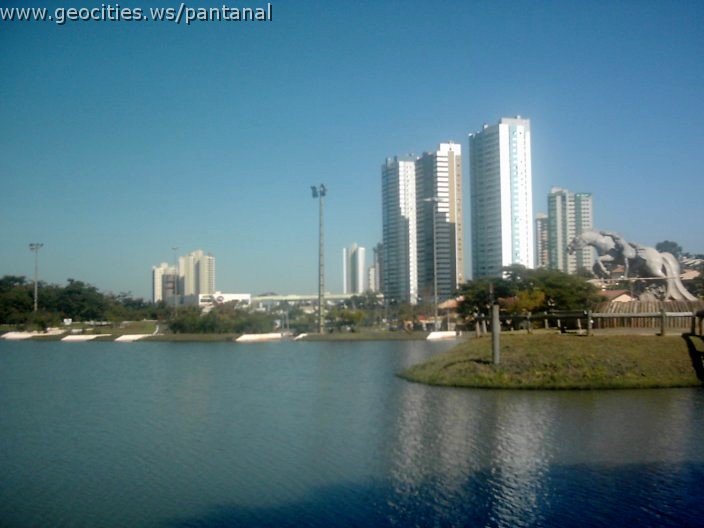 3466_geocities_ws_pantanal.jpg