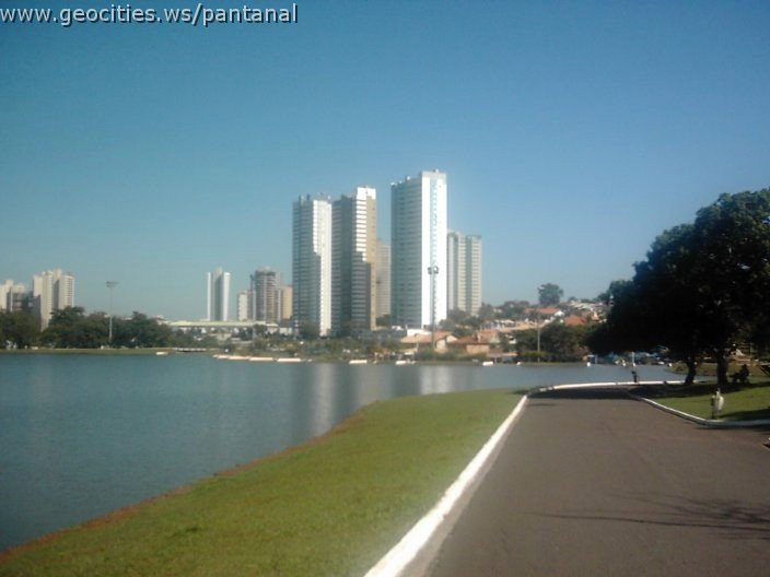 3468_geocities_ws_pantanal.jpg